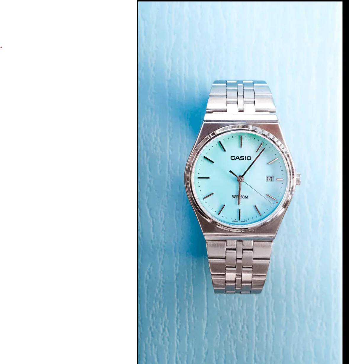 Casio Round Watch
